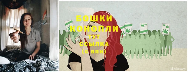 скорость Новозыбков