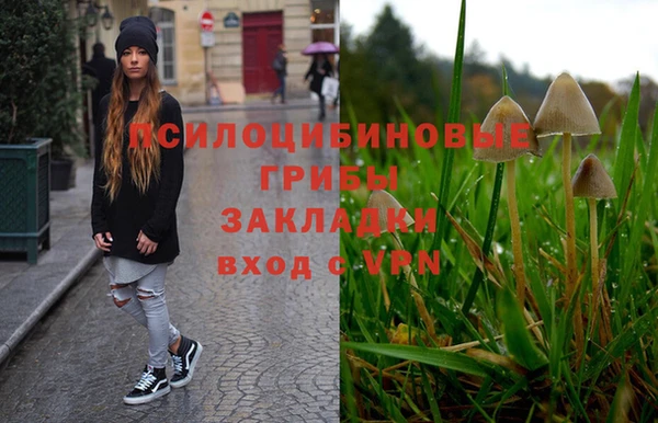 хмурый Новодвинск