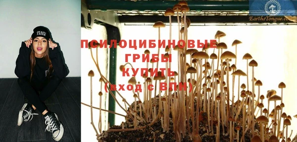 хмурый Новодвинск
