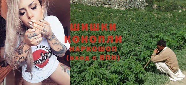 скорость Новозыбков