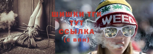 скорость Новозыбков
