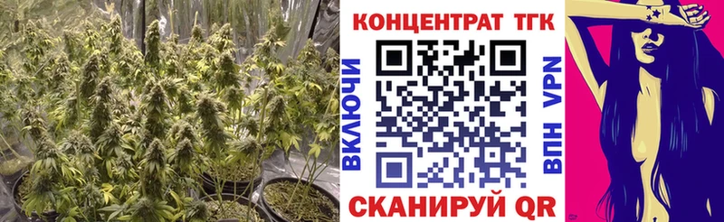 ТГК THC oil  цена наркотик  blacksprut вход  Ставрополь 