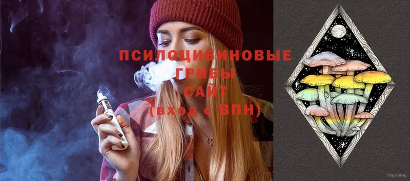 Галлюциногенные грибы Psilocybine cubensis  гидра tor  Ставрополь 