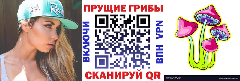 где продают наркотики  Ставрополь  ОМГ ОМГ как войти  Галлюциногенные грибы Psilocybe 