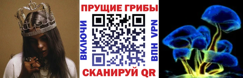 Псилоцибиновые грибы Magic Shrooms Ставрополь
