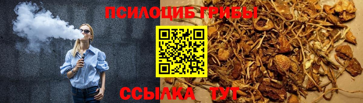 Галлюциногенные грибы ЛСД  Вход с VPN  Ставрополь  Галлюциногенные грибы MAGIC MUSHROOMS 