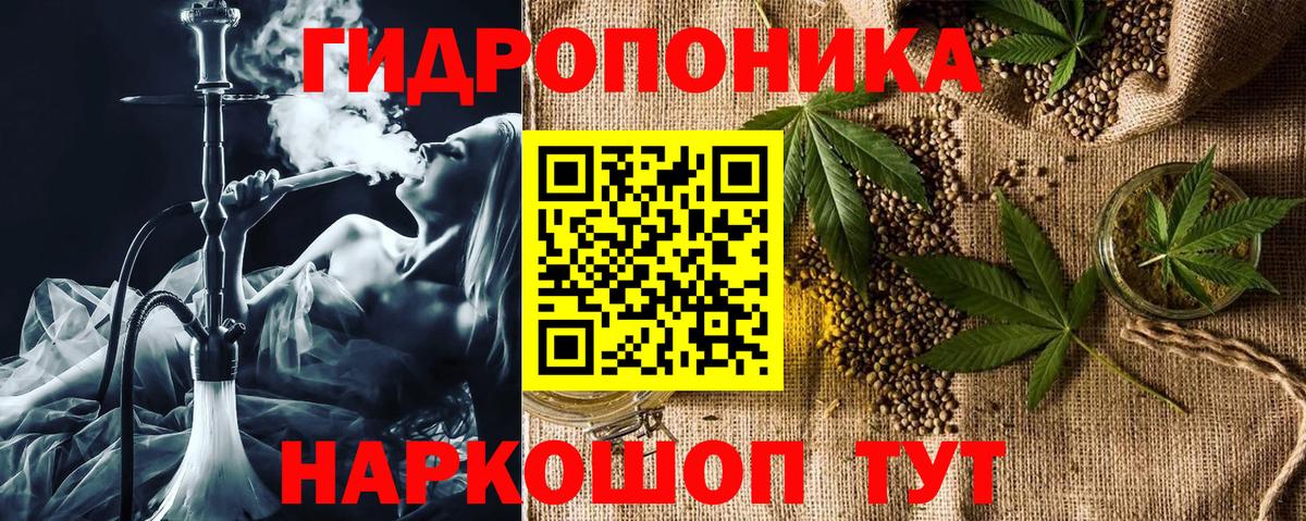 Бошки Шишки план Ставрополь